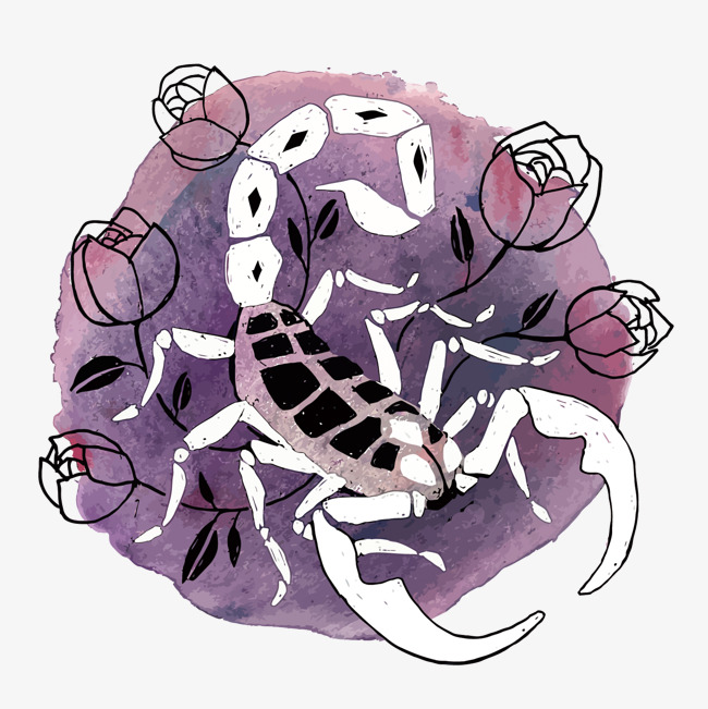 Как избавиться от Скорпиона — Scorpion Goroskop
